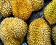 “哄搶榴蓮”檢查結(jié)果終于來(lái)了，罪魁禍?zhǔn)拙故撬? class=